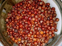 Ardıç Faydaları Nelerdir?