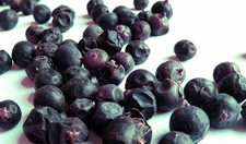 Ardıç Katranı Kullanımı ve Faydaları Nelerdir?